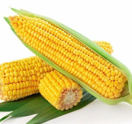 玉米振動篩如何選擇？